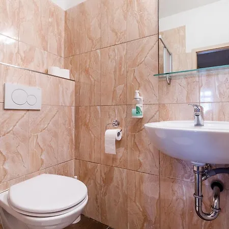 Ξενοδοχείο με διαμερίσματα U Divadla 4*